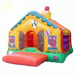 Inflatable Bouncer FLHO